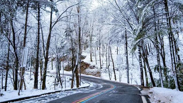 错过等一年！这个冬天，来嵩县“嗨皮”一圈！