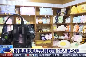 制售盗版毛绒玩具获利2000多万 9个犯罪团伙被捣毁图片