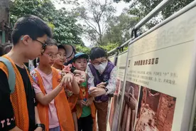 【视频】啥！广州动物园不仅可以看动物，还能挖文物？图片