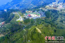 湖北夷陵：三峡茶旅小镇多彩活动庆新春图片