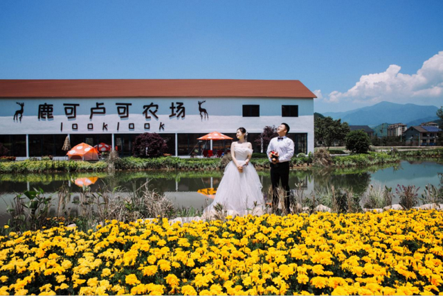 驾游浙江 | 自驾新宠！探秘天目山，这条环山公路美成仙境