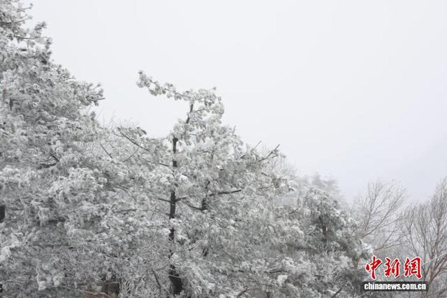 豫西落雪：白云山间银装素裹