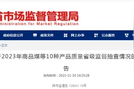 陕西省市场监督管理局发布2023年商品煤等10种产品质量省级监督抽查情况图片