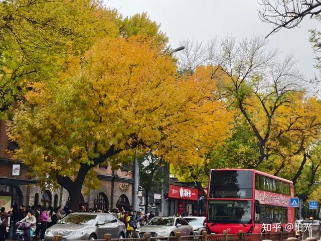如何描述“北京的秋”？这是一期有温度的推送……