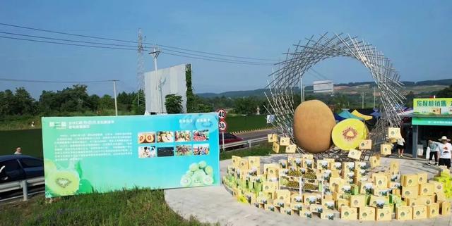 乐游绵阳 清凉一夏 ‖ 期待，甜“猕”来袭！