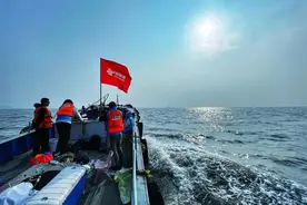 浙江联通：推进新质生产力发展 争做数字“弄潮儿”图片