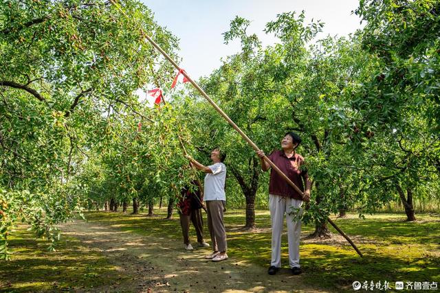 镜头里的新发展新活力｜“大美乐陵・见证精彩”摄影采风活动纪实