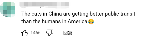 博主为猫咪打造专属地铁，网友：以为是AI，结果是手作？