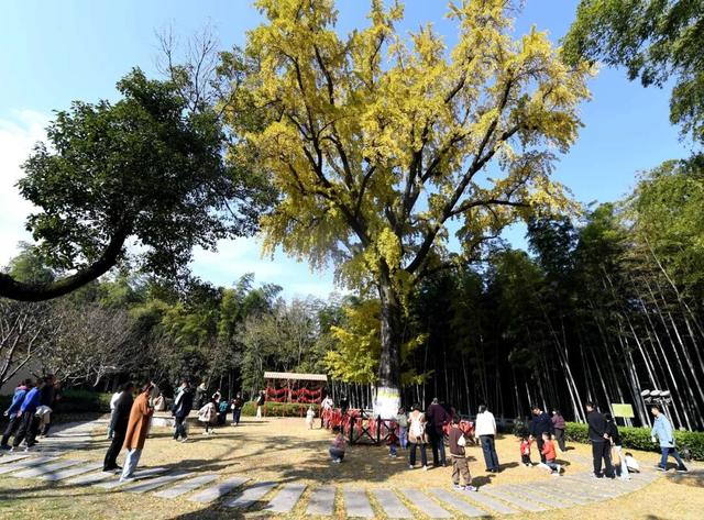 刷屏了巢湖这里，美了600年