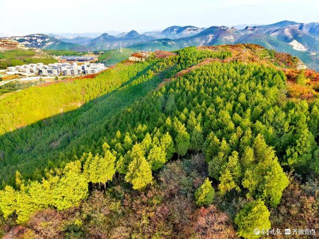 秋日限定！济南蚰蜒山红叶渐染
