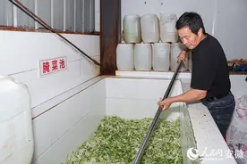 繁昌荻港：一碟小香菜 卖出6000万图片