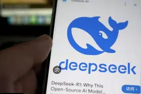 DeepSeek引发多国政府审查，为何“禁用”这招不灵了？图片