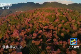 跳菜可真不是菜！论吃饭的仪式感，还是得看______！图片