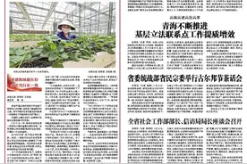 青海绿色算力人才座谈会召开图片
