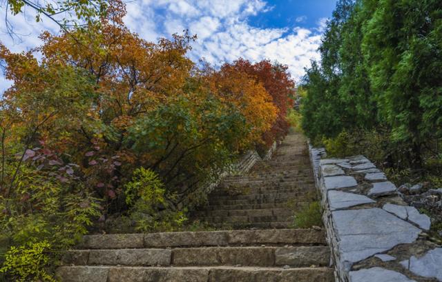 今日立冬！三个仪式解锁肥城初冬的终极浪漫！