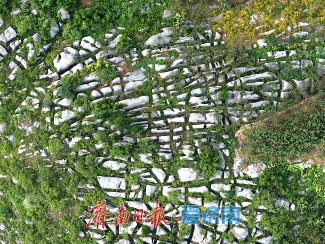 石海地质奇观宛如巨型“地球二维码”| 一年四季 泉在济南