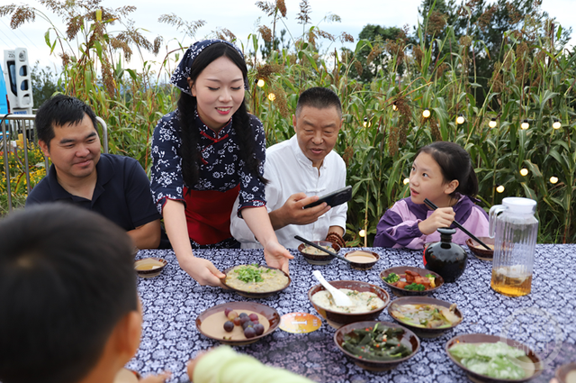重庆云阳：高粱地里奏响文旅融合“田园牧歌”