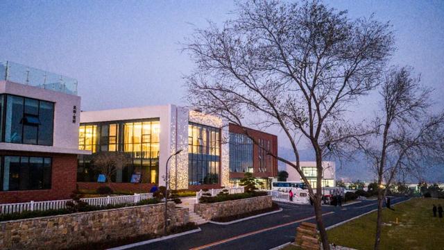 日照一全新打卡地！也太美太治愈了吧！