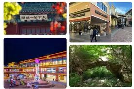 2025居庸山月·长城花海音乐会璀璨上演图片