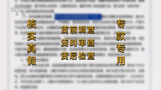 揭秘职业背债人背后的真相