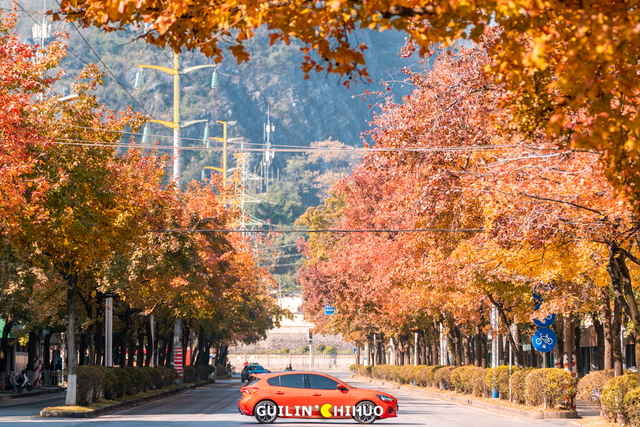 冬至丨解锁桂林的多彩冬天！