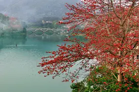 遛湾｜向冷空气开“泡”！用一场温泉之旅抵御湿冷魔法图片