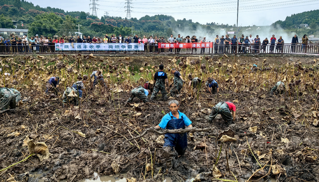 金秋有礼 绵阳有你 ‖ 欢度国庆 乐游涪城——无人机秀、国风盛宴、非遗文化、文创市集…涪城国庆活动全攻略来了！