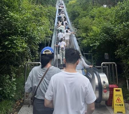又菜又爱玩？适合“窝囊旅游”