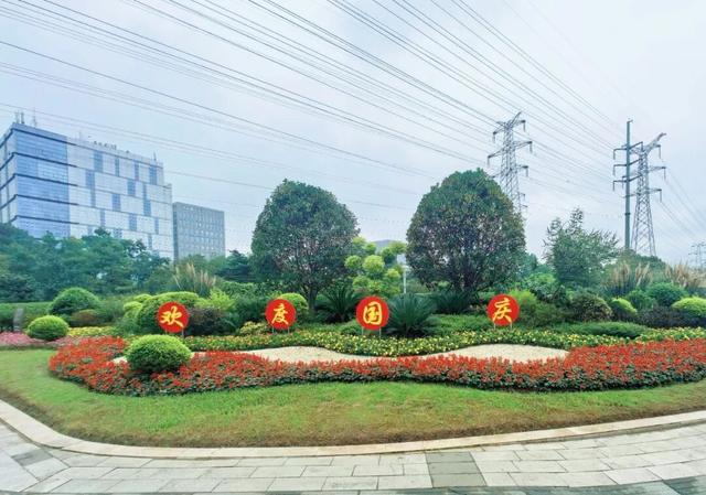 合肥街头，悄悄“变装”