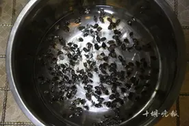 十堰一小区大量出现这种虫，医院制药每斤卖上千元！好多人在捡图片