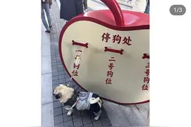 上海徐汇滨江出现“停狗处”？网友：还是太超前了！图片