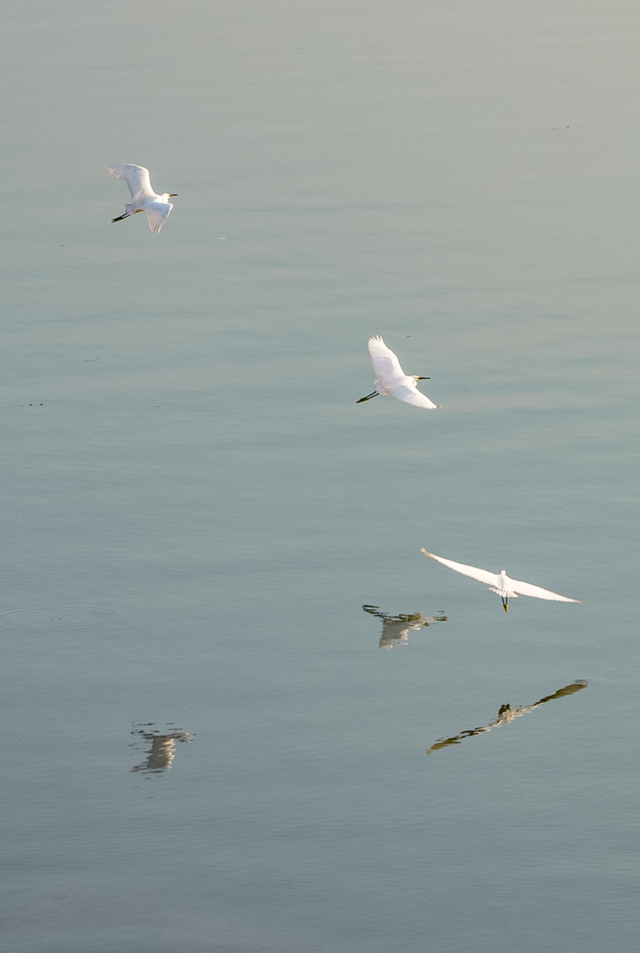 秋假去哪儿？跟着陆游感受简阳的“幽兴自无穷”