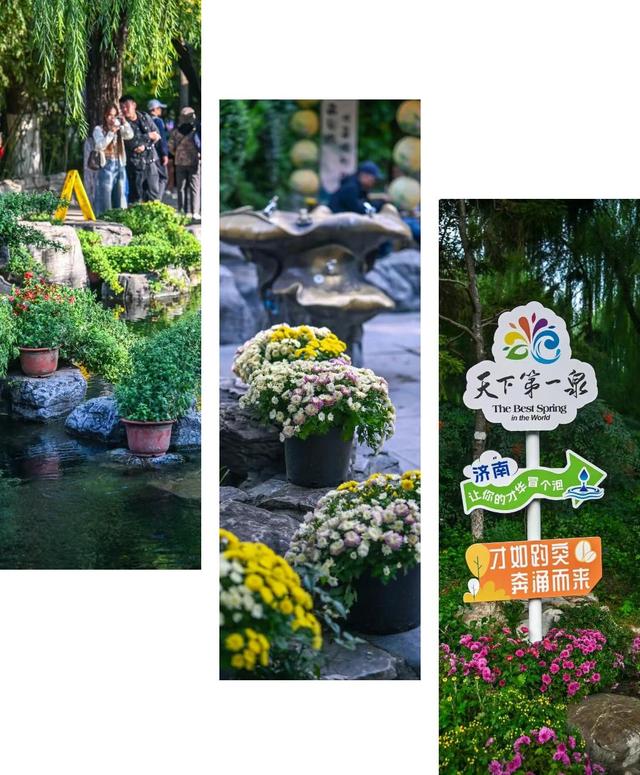 走，去趵突泉！收集秋天最靓的九宫格～