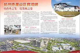 杭州市萧山区党湾镇  以改革之笔  绘发展之卷图片