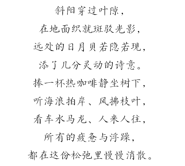 上新！珠海“顶流爱心树”浪漫升级，出片率100%！