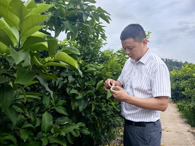 何以重庆丨潼南：奋楫争先