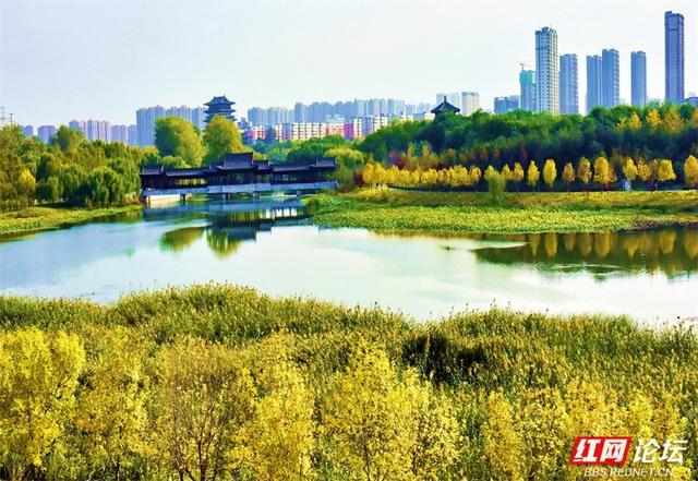 秋游时刻丨一条线路，三种景致：我拍下了郑州最诗意的秋天