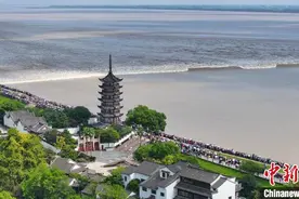 农历七月十八 钱塘江“鬼王潮”潮头奔涌图片