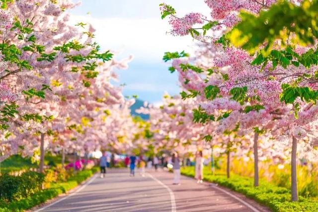 云南唯一！异龙湖环湖线入选“2025中国骑行地图”百条精品路线