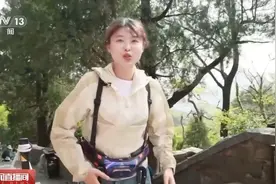 穿上这个“登山神器” 机器人助你轻松“拿捏”泰山图片