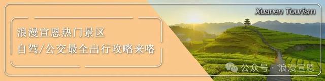 众多明星打call助阵，立荐“浪漫宣恩嗨一夏”！