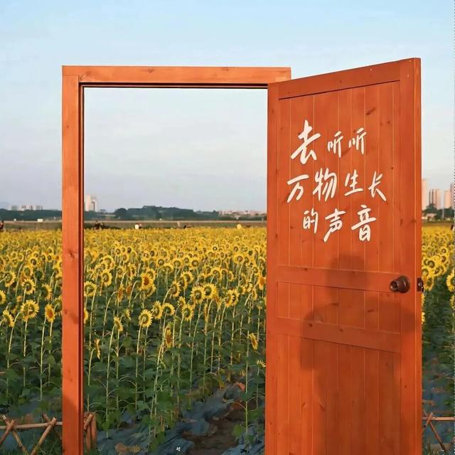 《闽风山海》之游在翔安 | 到翔安，上山下海入乡间！