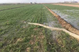 浇地的故事图片