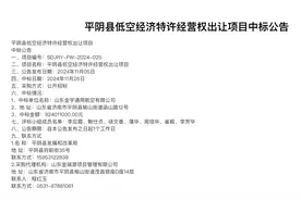 逾9亿元出让低空经济30年特许经营权，济南平阴县发改局回应：已成立专门工作小组图片