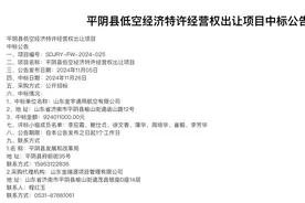 逾9亿元出让低空经济30年特许经营权，济南平阴县发改局回应：已成立专门工作小组图片