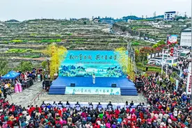四川宣汉：李花怒放一树白  川东“醉”美李花在庙安图片