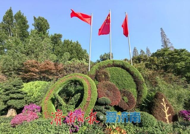 一年四季 泉在济南丨泉水与菊香为伴！趵突泉菊展静待绽放
