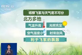 飞絮从哪来？为何此时多？做到这四点远离恼人飞絮图片
