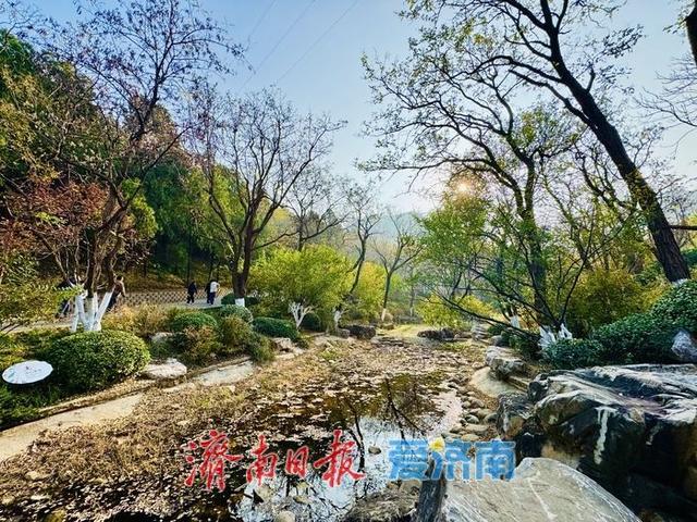 一年四季 泉在济南丨暖阳映彩林 游人赏景忙