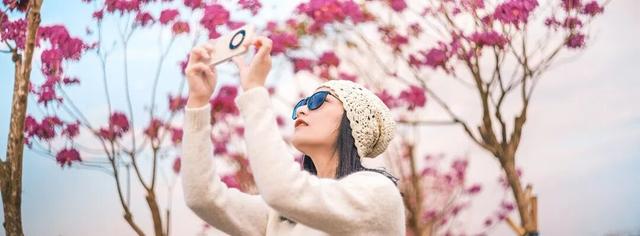 美到上央视！珠海超大花海，开好了！